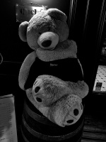 quché bear 220226.01 dt bw