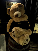 quché bear 220226.01 dt