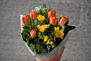 bouquet 2026.02 dt