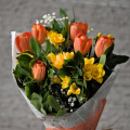 bouquet 2026.02 dt