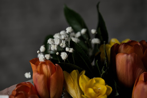bouquet 2026.07 dt