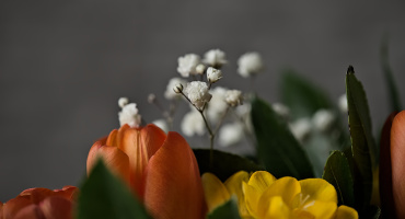 bouquet 2026.15 dt (2)
