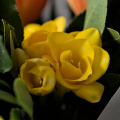 bouquet 2026.16 dt