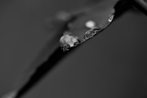macro 2026.39 dt bw