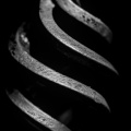 macro 2026.57 dt bw