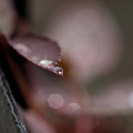 macro 2026.65 dt (2)