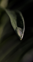 macro 2026.75 dt
