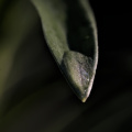 macro 2026.75 dt