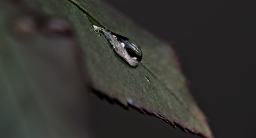 macro 2026.82 dt