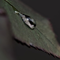 macro 2026.82 dt