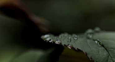 macro 2026.91 dt
