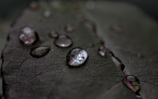 macro 2026.121 dt