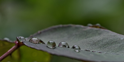 macro 2026.122 dt