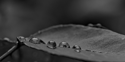macro 2026.122 dt bw