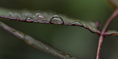 macro 2026.123 dt