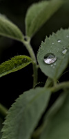 macro 2026.127 dt