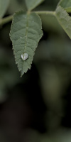 macro 2026.128 dt