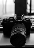 olympus omd e-m10 2026.02 dt bw