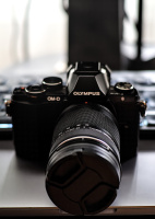 olympus omd e-m10 2026.02 dt