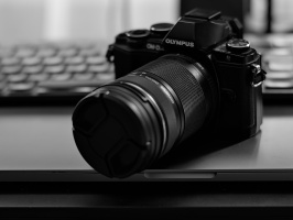 olympus omd e-m10 2026.05 dt bw