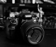 Sigma SD1 2026.02 dt bw