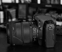 Sigma SD1 2026.03 dt bw