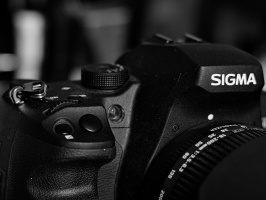 Sigma SD1 2026.05 dt bw