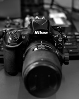 Nikon D810 2026.01 dt bw