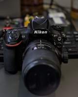 Nikon D810 2026.01 dt