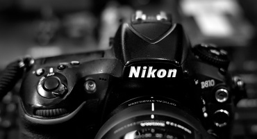 Nikon D810 2026.02 dt bw