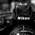 Nikon D810 2026.02 dt bw