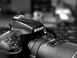 Nikon D810 2026.03 dt bw