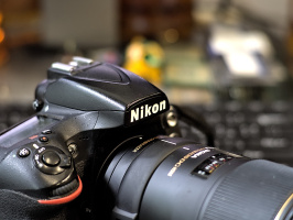 Nikon D810 2026.03 dt