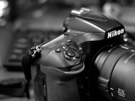 Nikon D810 2026.04 dt bw