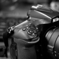 Nikon D810 2026.04 dt bw