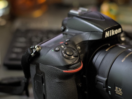 Nikon D810 2026.04 dt