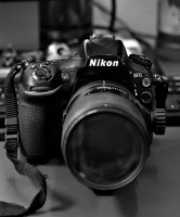 Nikon D810 2026.05 dt bw