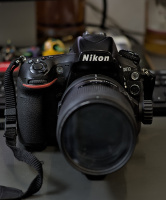 Nikon D810 2026.05 dt