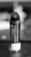 torch 2026.02 dt bw