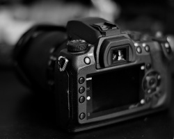 Sigma SD1 2026.09 dt bw