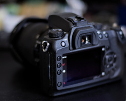 Sigma SD1 2026.09 dt