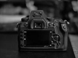 Sigma SD1 2026.11 dt bw