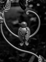 bird 2026.01 dt bw