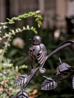 bird 2026.02 dt