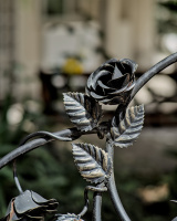 iron rose 2026.01 dt