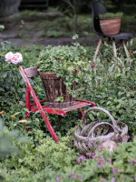 gardens 2026.01 dt