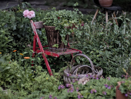 gardens 2026.02 dt