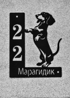 maragidick 22 2026.01 dt bw