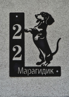 maragidick 22 2026.01 dt