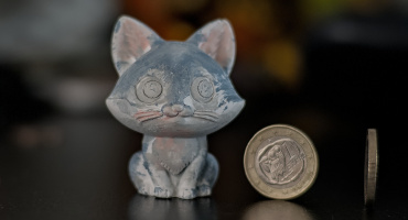 cat &amp; euro 2026.01 dt
